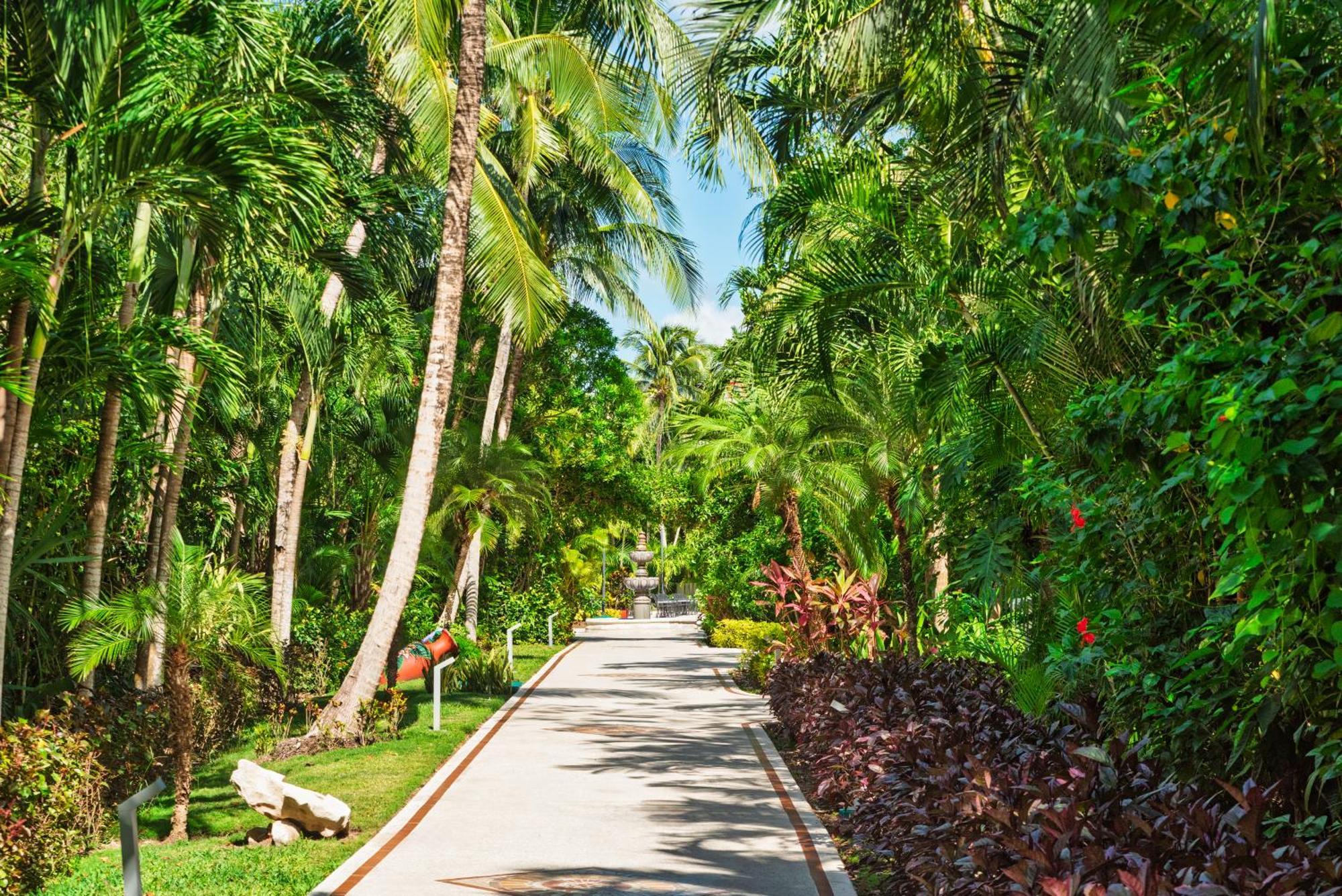 Resort Occidental -
