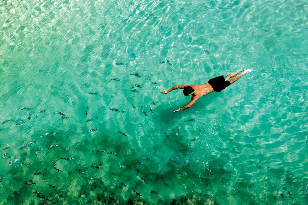 Occidental - Cozumel